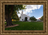 Saint George Fall Leaves