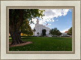 Saint George Fall Leaves