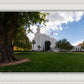 Saint George Fall Leaves