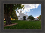 Saint George Fall Leaves