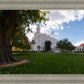 Saint George Fall Leaves