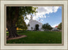 Saint George Fall Leaves