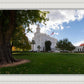 Saint George Fall Leaves