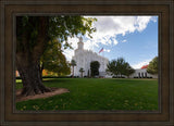 Saint George Fall Leaves