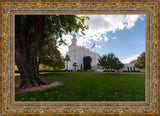 Saint George Fall Leaves