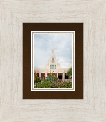 Phoenix Joyful Blooms