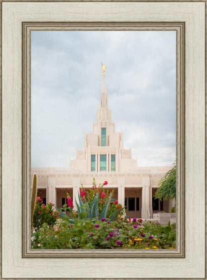 Phoenix Joyful Blooms