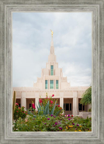 Phoenix Joyful Blooms