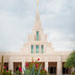 Phoenix Joyful Blooms