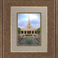 Phoenix Temple Cultivating Goodness