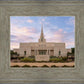 Phoenix Temple Spring is Here
