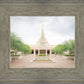 Phoenix Arizona Glorious Day