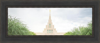 Phoenix Arizona Glorious Day