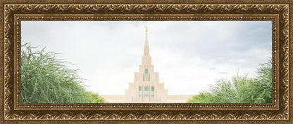 Phoenix Arizona Glorious Day