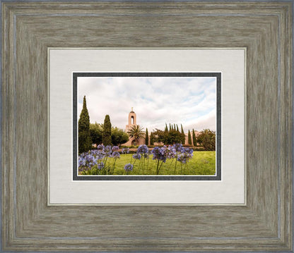 Newport Beach California Blooming Afternoon