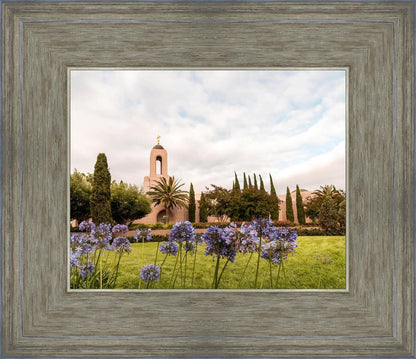 Newport Beach California Blooming Afternoon
