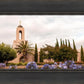 Newport Beach California Blooming Afternoon