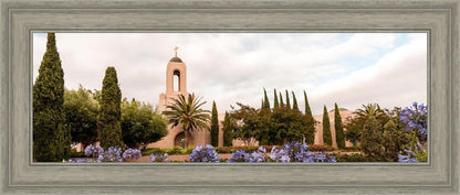 Newport Beach California Blooming Afternoon