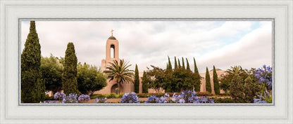 Newport Beach California Blooming Afternoon