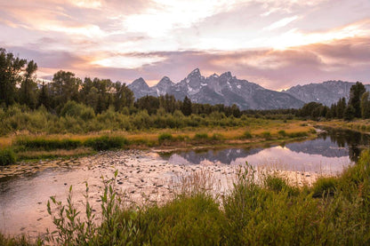 Ye Shall Be Lifted Up Spring