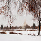 Fall After the Storm