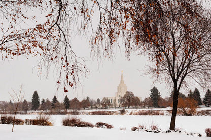 Fall After the Storm