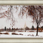 Fall After the Storm