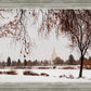 Fall After the Storm
