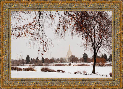 Fall After the Storm