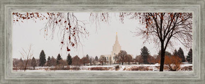 Fall After the Storm