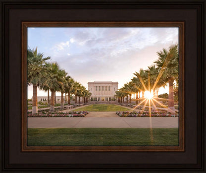 Mesa Arizona There Is Sunshine In My Soul Today