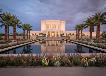 Mesa Arizona Summer Nights Dream