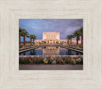 Mesa Arizona Summer Nights Dream