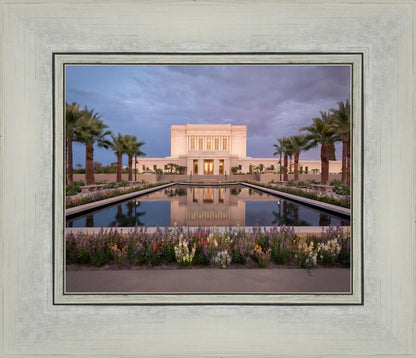 Mesa Arizona Summer Nights Dream