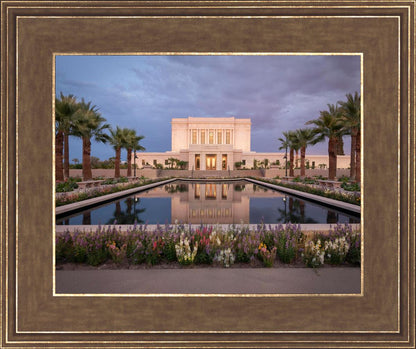 Mesa Arizona Summer Nights Dream