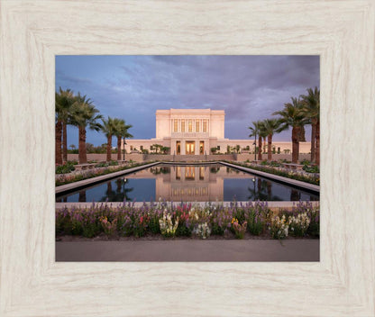 Mesa Arizona Summer Nights Dream