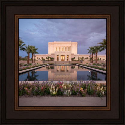 Mesa Arizona Summer Nights Dream