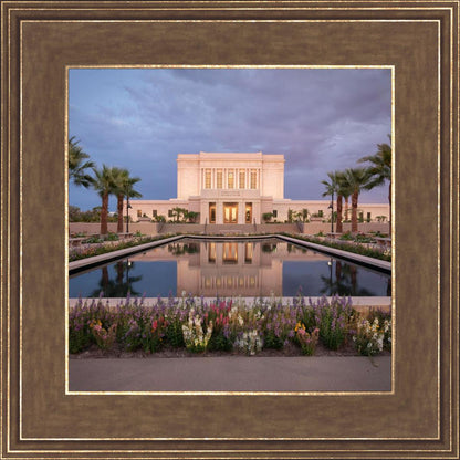 Mesa Arizona Summer Nights Dream