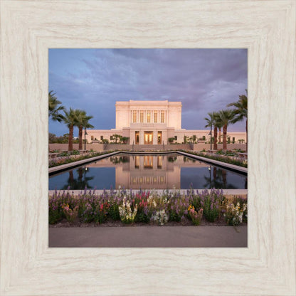 Mesa Arizona Summer Nights Dream