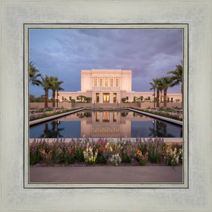 Mesa Arizona Summer Nights Dream