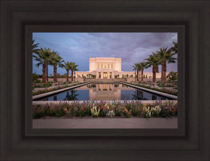 Mesa Arizona Summer Nights Dream