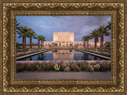 Mesa Arizona Summer Nights Dream