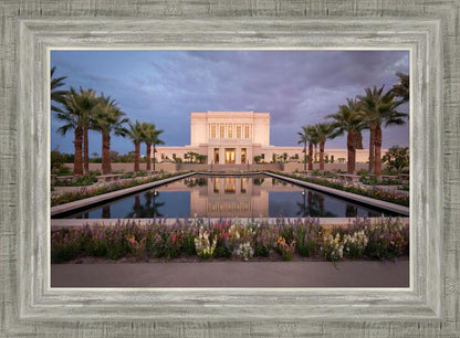 Mesa Arizona Summer Nights Dream