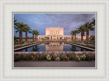 Mesa Arizona Summer Nights Dream