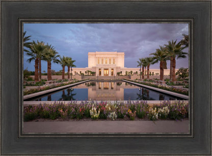 Mesa Arizona Summer Nights Dream