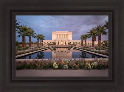 Mesa Arizona Summer Nights Dream