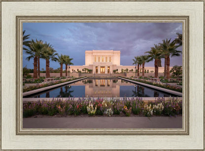 Mesa Arizona Summer Nights Dream