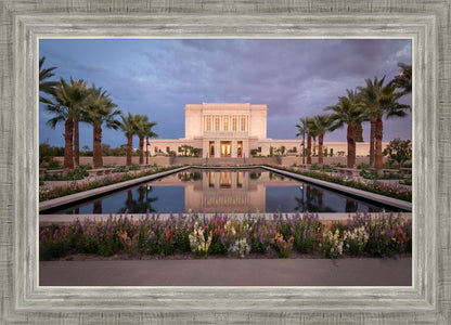 Mesa Arizona Summer Nights Dream