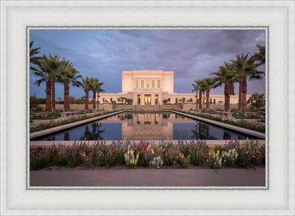 Mesa Arizona Summer Nights Dream