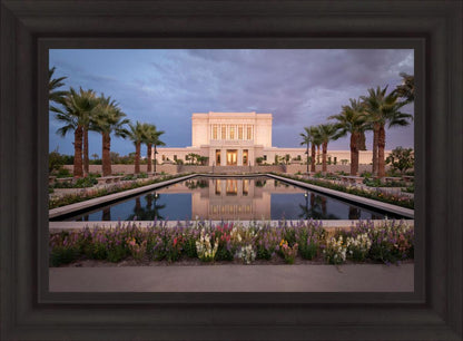 Mesa Arizona Summer Nights Dream